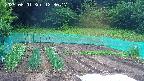 kannonmori-20250601123018.jpg
