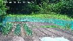 kannonmori-20250601124016.jpg