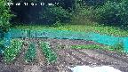 kannonmori-20250601125015.jpg