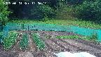 kannonmori-20250601130015.jpg