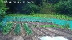 kannonmori-20250601131016.jpg
