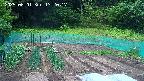 kannonmori-20250601132018.jpg