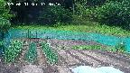 kannonmori-20250601133017.jpg