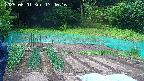 kannonmori-20250601134017.jpg