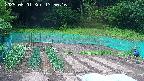 kannonmori-20250601135017.jpg