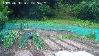kannonmori-20250601140018.jpg