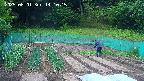 kannonmori-20250601141016.jpg