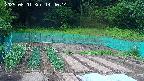 kannonmori-20250601144015.jpg