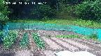 kannonmori-20250601145015.jpg