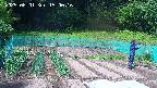 kannonmori-20250601150017.jpg