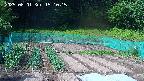 kannonmori-20250601151016.jpg