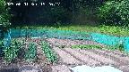 kannonmori-20250601152018.jpg