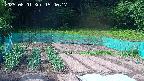kannonmori-20250601154018.jpg