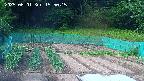 kannonmori-20250601155016.jpg