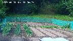 kannonmori-20250601160016.jpg