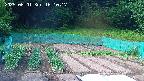 kannonmori-20250601161018.jpg