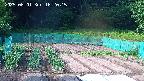 kannonmori-20250601162016.jpg