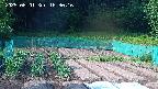 kannonmori-20250601163017.jpg