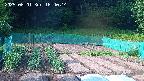 kannonmori-20250601164015.jpg