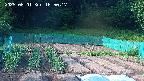 kannonmori-20250601165018.jpg
