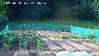 kannonmori-20250601170017.jpg