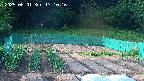 kannonmori-20250601171017.jpg