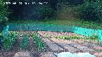 kannonmori-20250601172018.jpg