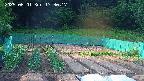 kannonmori-20250601173018.jpg