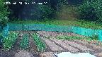 kannonmori-20250601175015.jpg