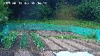 kannonmori-20250601180019.jpg
