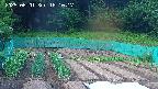kannonmori-20250601181018.jpg