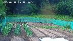 kannonmori-20250601182015.jpg