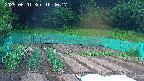 kannonmori-20250601184018.jpg