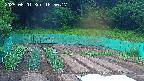 kannonmori-20250601185018.jpg