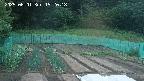 kannonmori-20250601192019.jpg