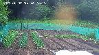 kannonmori-20250602051016.jpg