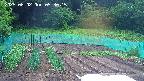 kannonmori-20250602053016.jpg