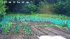 kannonmori-20250602055016.jpg
