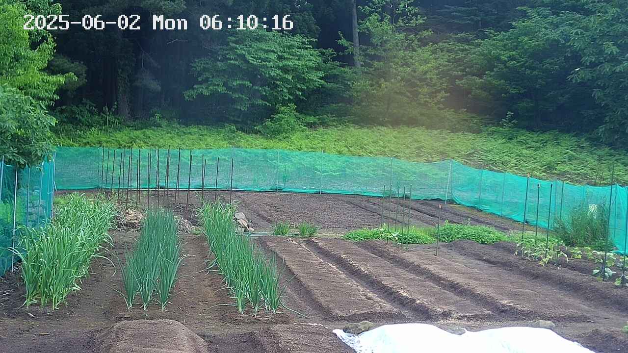 kannonmori-20250602061017.jpg