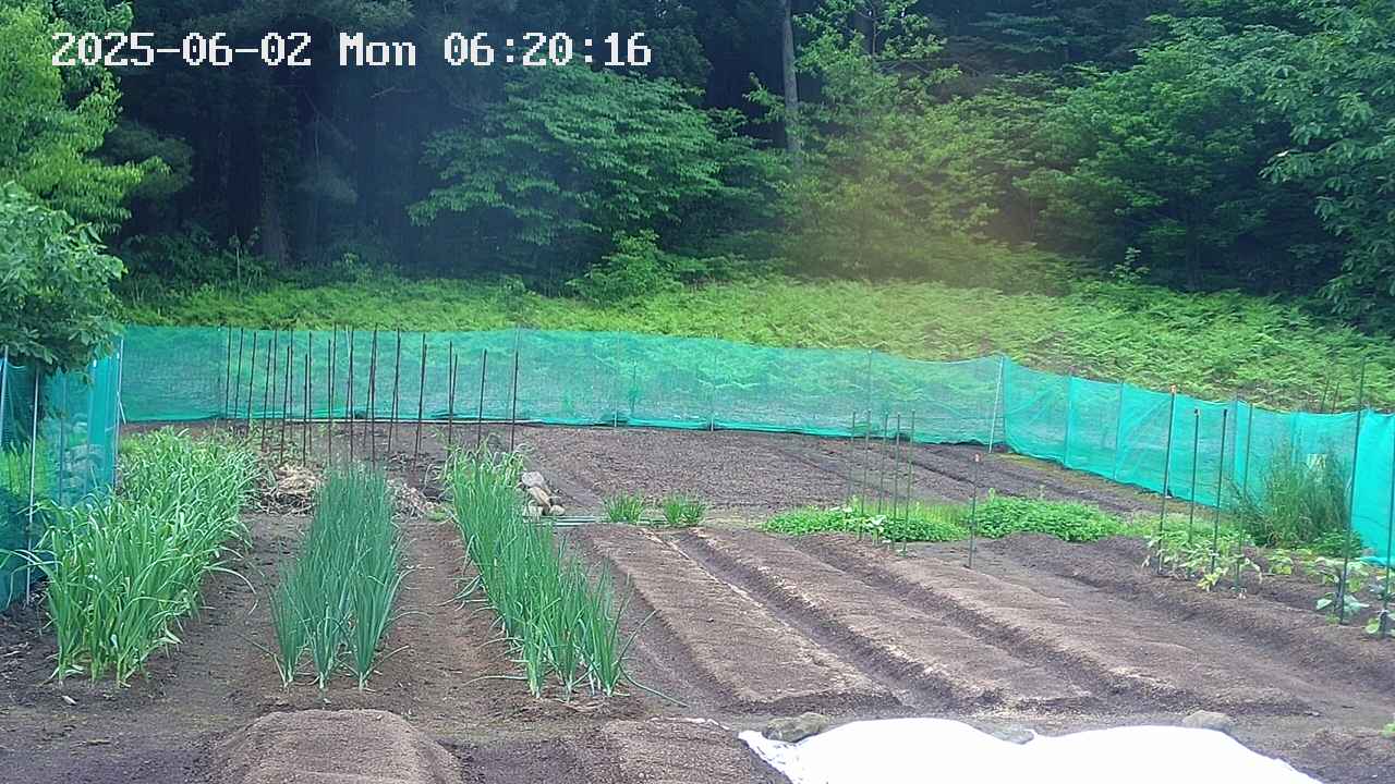 kannonmori-20250602062017.jpg