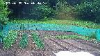 kannonmori-20250602063017.jpg