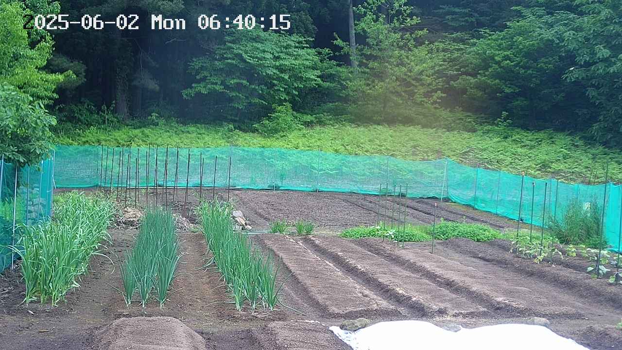 kannonmori-20250602064017.jpg