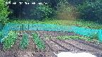 kannonmori-20250602065017.jpg