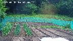 kannonmori-20250602073018.jpg
