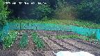 kannonmori-20250602074017.jpg
