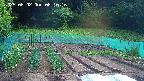 kannonmori-20250602081016.jpg
