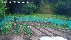 kannonmori-20250602083017.jpg