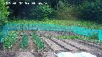 kannonmori-20250602085017.jpg