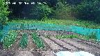 kannonmori-20250602091016.jpg