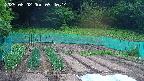 kannonmori-20250602094015.jpg